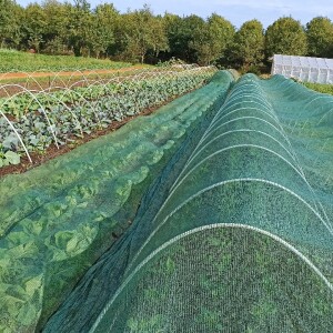 Česká farma z Olomouce přináší zeleninu bez chemie až k vám domů