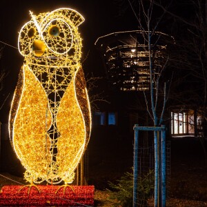 Zažijte magickou noc v korunách stromů Krkonoš!