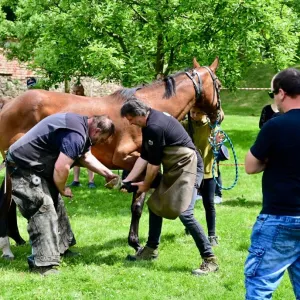 Olomoucký fortel: Kováři tvoří společné dílo i pomáhají druhým