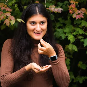 Cvrček místo řízku? Češi mění jídelníček i díky firmě GRIG