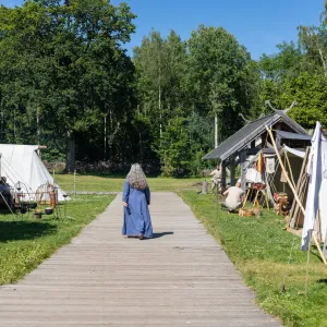 Vikingové bez rohů a s kuřetem