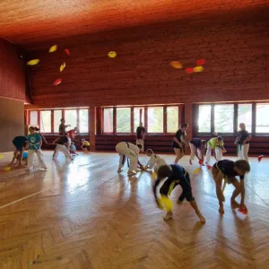 Z Velešína do světa: Taekwondo učí děti pohybu, disciplíně i odvaze