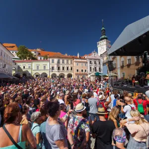 Blíží se vinobraní na Pálavě!