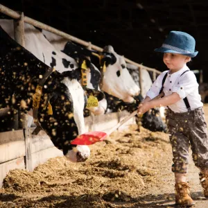 Doubravský dvůr: farma mezi dubovými lesy láká na krávy, sýry i zmrzlinu