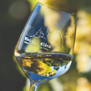 Víno, burčák a živá hudba: Vinobraní ožije na Vinici sv. Kláry v Praze