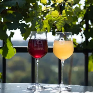 Víno, burčák a živá hudba: Vinobraní ožije na Vinici sv. Kláry v Praze