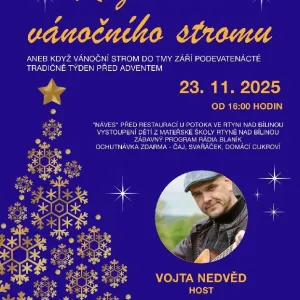 V Rtyni nad Bílinou zazáří vánoční strom