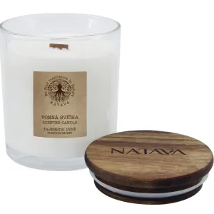 Natava: Svíčky, které voní přírodou