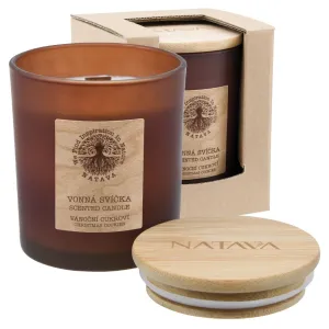 Natava: Svíčky, které voní přírodou