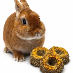 Michaela Bukovičová a dobroty, které mizí z misek králíků