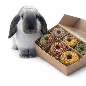 Michaela Bukovičová a dobroty, které mizí z misek králíků