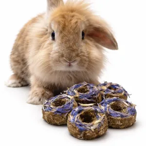 Michaela Bukovičová a dobroty, které mizí z misek králíků