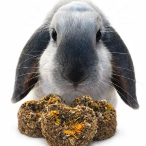 Michaela Bukovičová a dobroty, které mizí z misek králíků