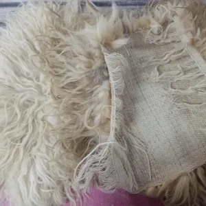 Vlna, která hřeje po generace