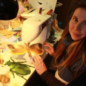 Filcové království z Mohelnice