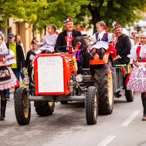 Pálavské vinobraní láká na hvězdy, řemesla i levnější vstupenky