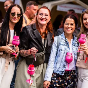 Pálavské vinobraní láká na hvězdy, řemesla i levnější vstupenky