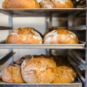 Od prvního ‚hrozného‘ chleba po řemeslnou kvalitu: Příběh pekárny William & Thomas Bakery