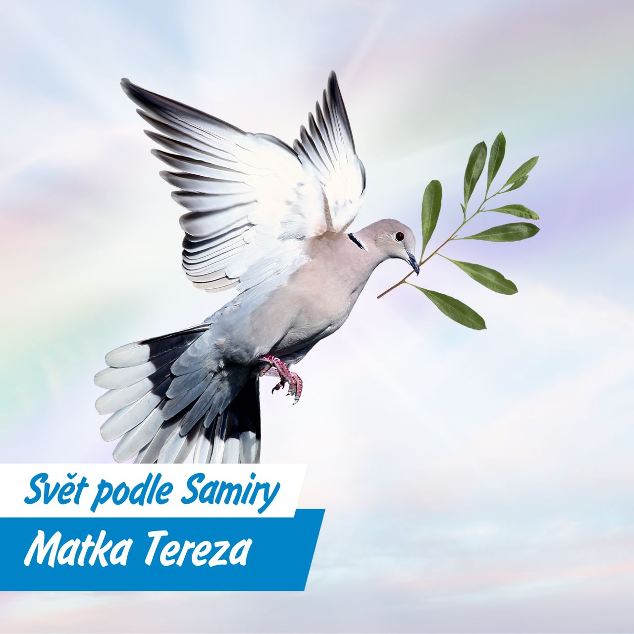 Matka Tereza mezi obdivem a kritikou: anděl i terč kontroverzí ...