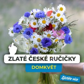 Domkvět: kouzlo českých květin