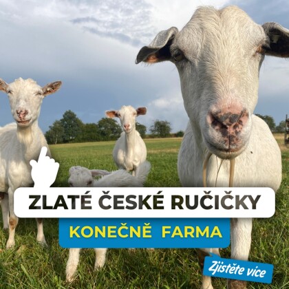 Farma Michaely Vojáčkové a Marka v Rašově