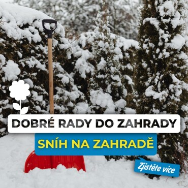 Jak využít sníh pro zdraví vaší zahrady