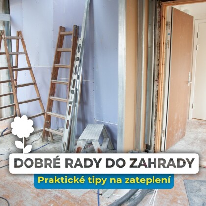 Jak ochránit fasádu před strakapoudy: Praktické tipy na zateplení a prevenci