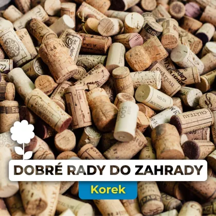 Korky od vína: Poklad pro váš domov, zahradu i lednici!