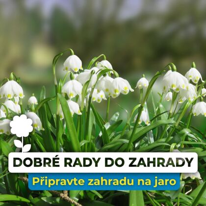 Únor na zahradě: První přípravy na jaro