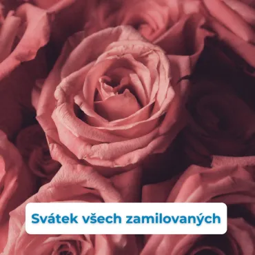 Ceny květin před Valentýnem letí nahoru