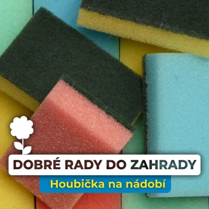 Staré houbičky, nový život: Zázračné tipy pro vaše rostliny!