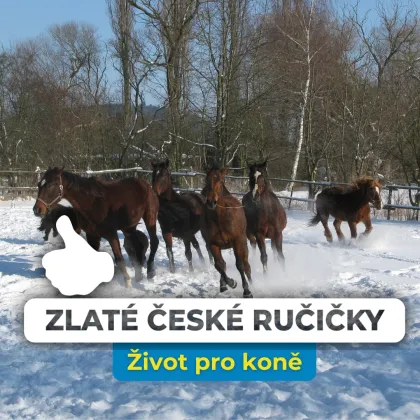 Kabelky, které zachraňují týrané koně