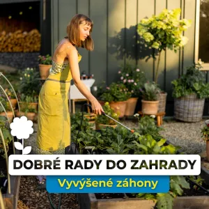 Vyvýšené záhony: Tipy na jarní zahradničení bez námahy a s bohatou úrodou