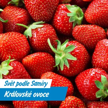 Jahody znali už v době kamenné