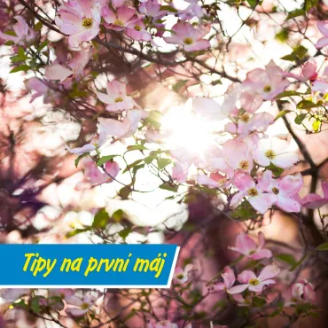 Jak si užít první máj: Inspirace na sváteční den