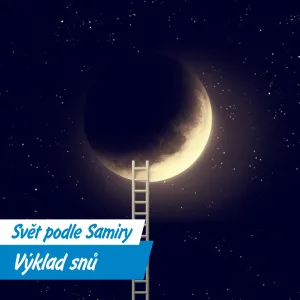Můžeme ve snu běžet? A proč to často nejde?