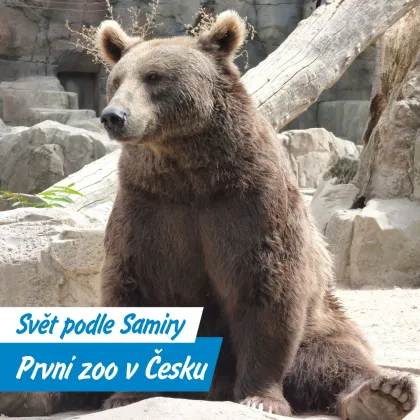 Když Praha poprvé viděla slona