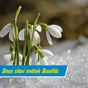 Zmrzlí muži odchází