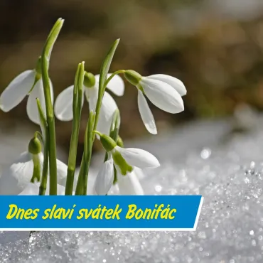 Zmrzlí muži odchází