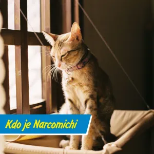 Může být kočka drogový dealer?