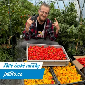 Pálí to? Tak akorát! Chilli papričky Dana Všetečky si získaly i Evropu