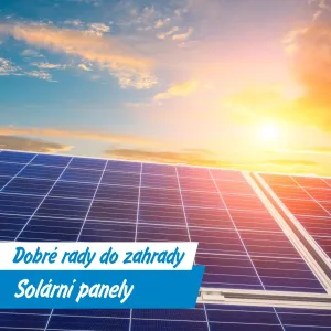 Slunce vydělává: Získejte až 140 tisíc na solární panely