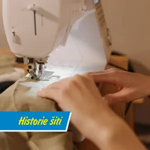 Víte, že první jehly byly z kostí a staré přes 40 000 let?