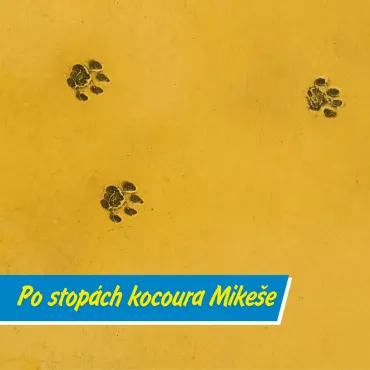 Vyrazte po stopách slavného kocoura! Pochod Cestou kocoura Mikeše láká malé i velké