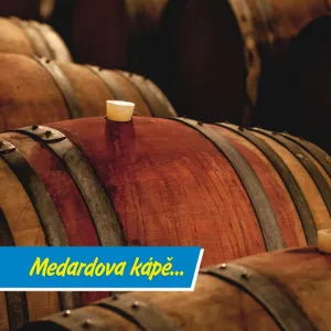 Medard klepe na střechu a vinaři na sudy