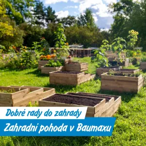 Zahrada bez nervů: Vše od truhlíků po dřevník jsem pořídila na jednom místě!