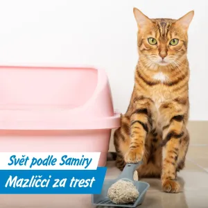 Mazlíčci v péči psychologů a lázní: když kočka potřebuje terapii a pes bahenní zábal