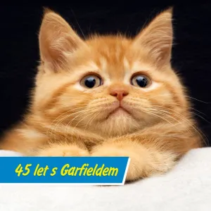 Lasagne, lenost a legendární sarkasmus