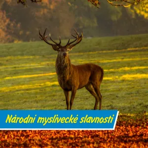 Myslivci zvou do přírody: Den plný tradic i zážitků