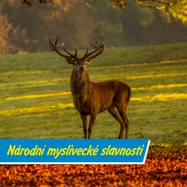 Myslivci zvou do přírody: Den plný tradic i zážitků